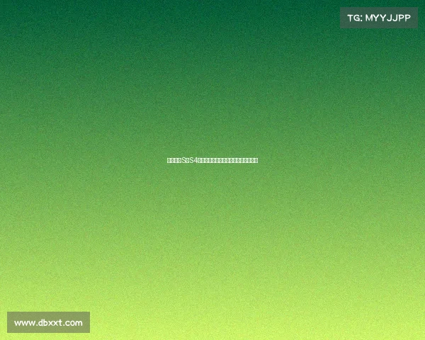 英雄联盟S赛S4回顾：经典对决与团队策略的完美结合